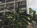 近高文后港冷气夫妻房出租750