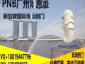 PNB广州博恩派-广州到新加坡私人订制货运物流-新加坡海运/空运专线