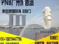 PNB广州博恩派-广州到新加坡私人订制货运物流-新加坡海运/空运专线