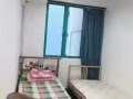 两人间寻女室友 400