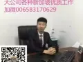 洗碗公司，WP 3或4号司机兼普工