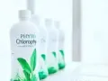 长春叶绿素