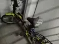我有一台全新自行车要卖