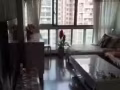 专业清洁房间、厨房、厕所