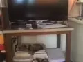 出售32寸电视+小米电视盒子+电视柜 西部100自取