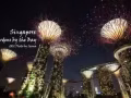 清洁工人WP