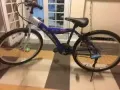 刚买的自行车一次没骑过，低价处理