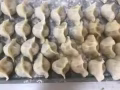 山东威海纯手工水饺，欢迎老铁们的选购，送到MRT