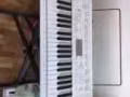 CASIO LK-247電子琴，100新幣出
