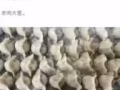山东威海纯手工水饺，味道鲜美，欢迎老铁们的选购。送到MRT