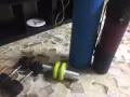哑铃20元