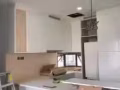 专业家私