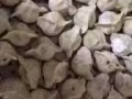 山东威海纯手工水饺，欢迎老铁们的选购，免费送到MRT，自取25块，100粒，