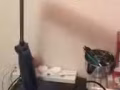 护眼台灯，超值！