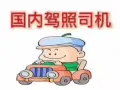 中国驾照司机