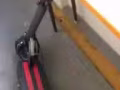 出售自用滑板車，辭職回國。低價轉讓。