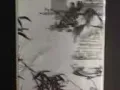 苹果5S 自用闲置机