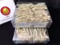 印尼001小鸟燕窝