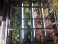欲朗西-黄埔小饭中心高新招聘麻辣香锅助手