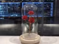 ?水晶玫瑰花?