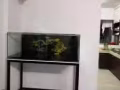 新龍魚缸完全沒有用到 因為愛魚已死 無心養魚 長4尺 寬2尺  頂部有兩