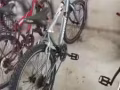 要回国了，脚车便宜出售