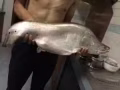剛從河裡釣回來的野生大刀魚