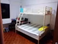 近布莱德地铁站有男搭房主人房出租，单间出租，拎包入住