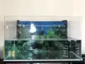 鱼缸出售