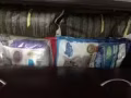 貓咪用品