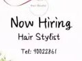 高薪聘请理发师！