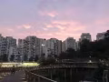 武吉巴督地铁站附近丢失钱包一个