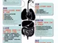 身体全方位的营养素