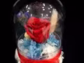 永生花 永不凋謝的花
