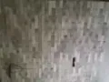 专业装修
