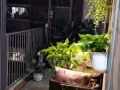 公寓房间出租