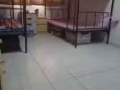 淡濱尼男女搭檔出租