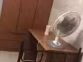 麦波申循环路普通房双人间寻找合租男