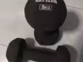 5kg 哑铃一对 10新币，宏茂桥自取