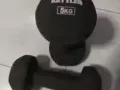 5kg 哑铃一对 10新币，宏茂桥自取