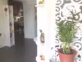 专业家政服务 两个人一起做 节约你的时间