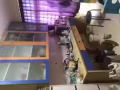 **buona vista附近有高楼层普通房出租，步行5分钟到地铁站
