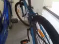 巴西力好车
