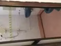 義順主人房出租，兩人一間，招女搭房，包水電網，可煮，報地址