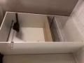 woodland出售家具