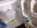 九成新小冰箱出售