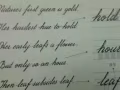 英文成人補習