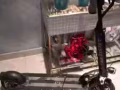 名牌滑板车