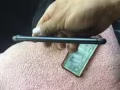 苹果8
