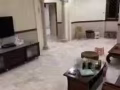 主人房招女生